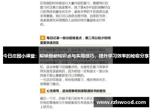 今日庄园小课堂：解锁最新知识点与实用技巧，提升学习效率的秘密分享